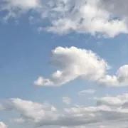 anの画像