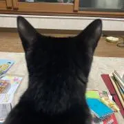 猫のじじの画像
