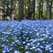ありぽん☆断捨離中の画像