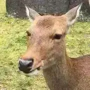 プロフィール見てね　すぐ発送致しますの画像
