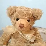 くまちゃん☆の画像