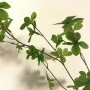 ゆーさこ.⭐︎値下げ依頼お気軽にどうぞの画像