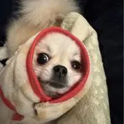 ゆうくんの画像