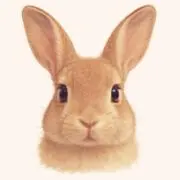 ウサミミ♡の画像