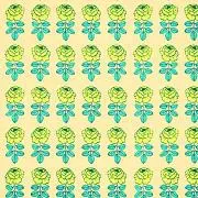 yumaの画像