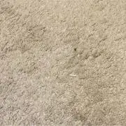 YHの画像