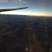 あんねの画像