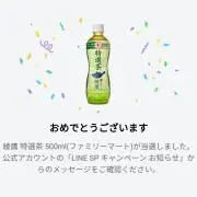 しちふくじん〘在庫確認をお願いします〙の画像