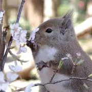くぅ