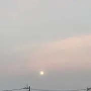 おからの画像