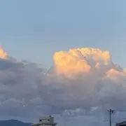 wanwanの画像