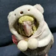 Rυпа！プロフ必見の画像
