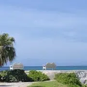 マナの画像