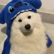 yu70の画像
