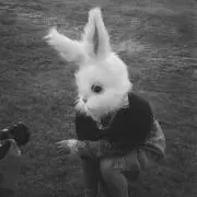 aoの画像