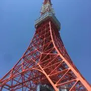 Tora