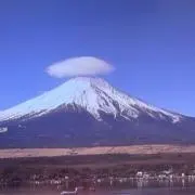 ハリポン80 お値下げセール品ずらーりの画像