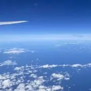 ゆるの画像