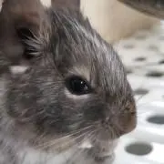HIRO29の画像