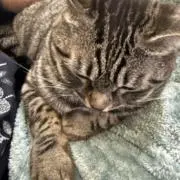 mmの画像