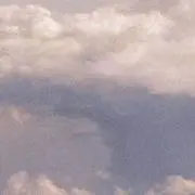 もちの画像