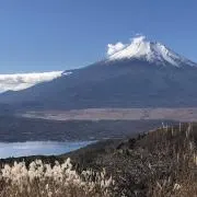 yeti69の画像