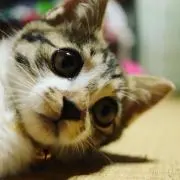 まぁさんの画像