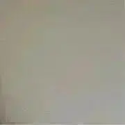 おにぎりの画像