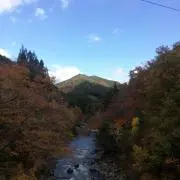 まんまネコの画像