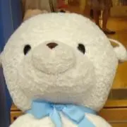 am