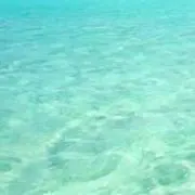 a-ママの画像