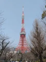 トミーの画像