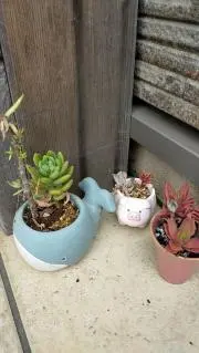 エージーエルの画像