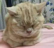 レインボーアイ