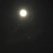 YO〜の画像