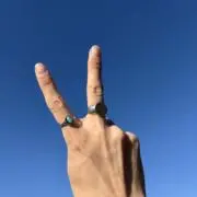 八つ裂きしげるの画像