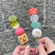マタタビの画像