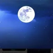 YoYoの画像
