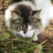 値下NG組替✖️即買○プロフ必読　断捨離の画像