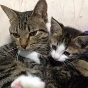さき