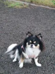 りく◎