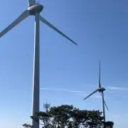 みみがー