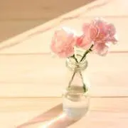Arisaの画像