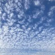 YUKAYaの画像