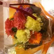 yukipon