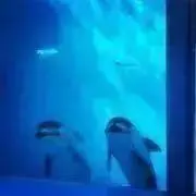 @プロフ一読お願いの画像
