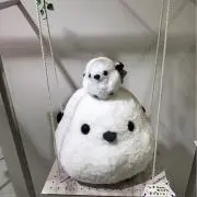 もりぽよの画像