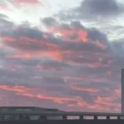ゆうひの画像