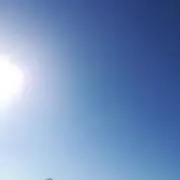 P-7の画像