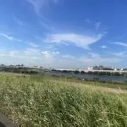 yuuの画像